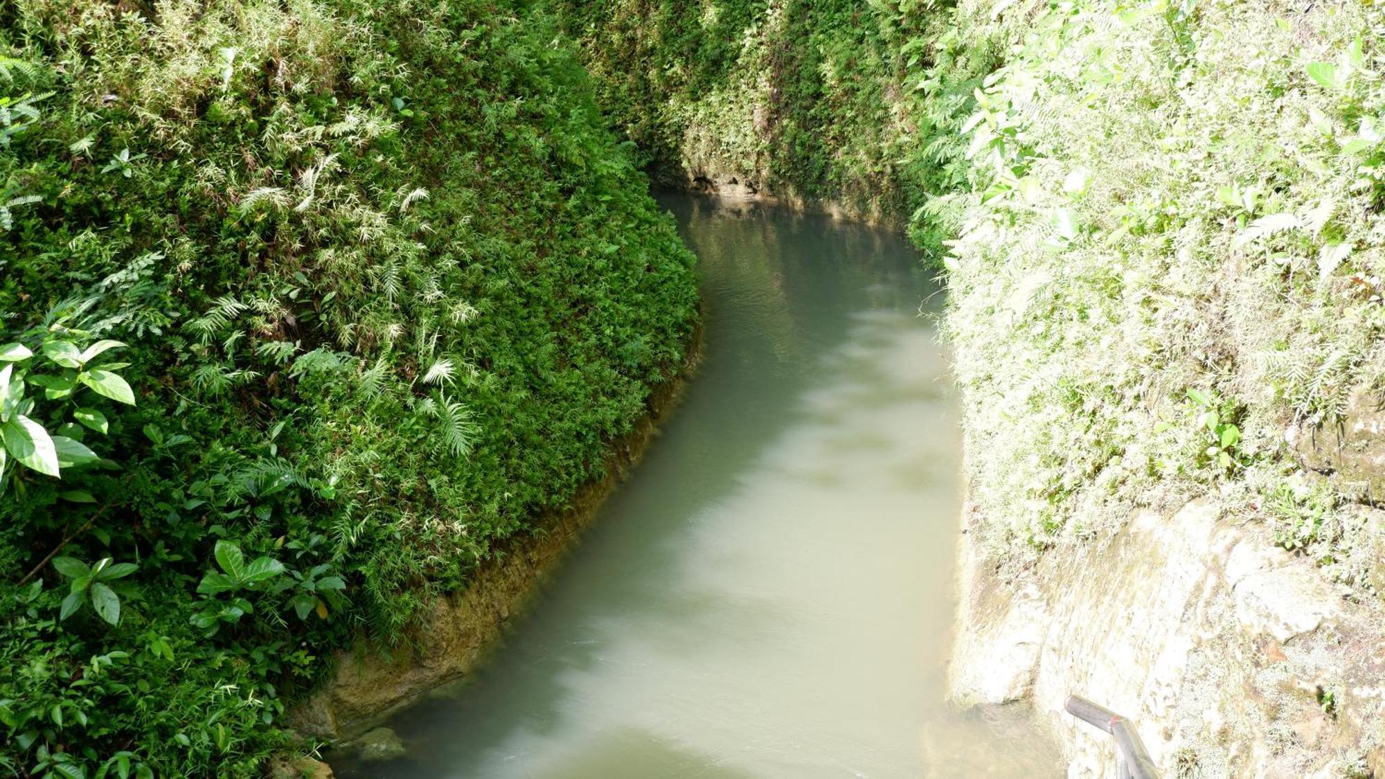 Hau Eco Lodges Citumang Pangandaran Dış mekan fotoğraf