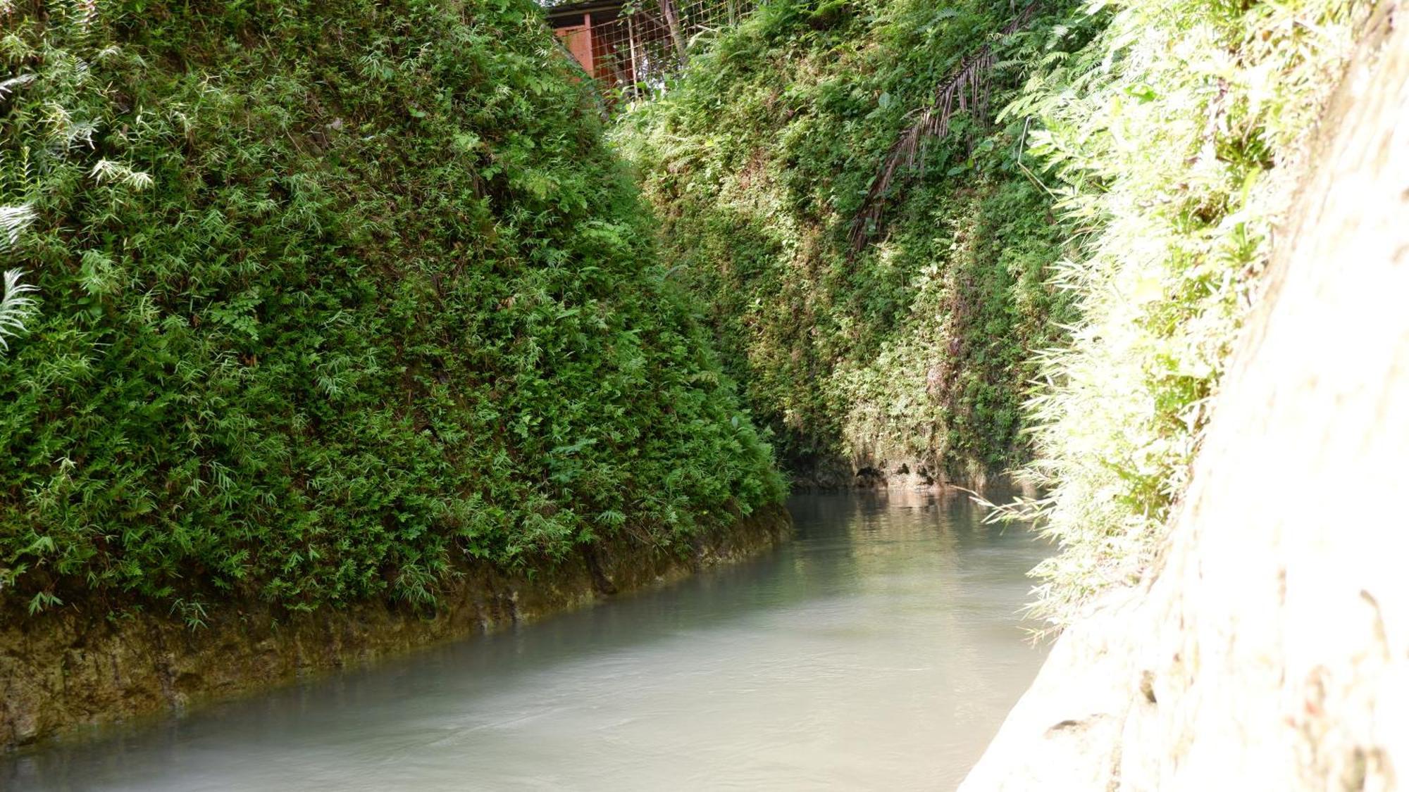 Hau Eco Lodges Citumang Pangandaran Dış mekan fotoğraf